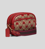 Coach Camera Bag In Signature Canvas With Heart Print